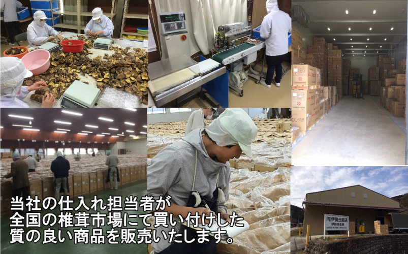 当社の仕入れ担当者が全国の椎茸市場にて買い付けた質の良い商品を販売いたします。